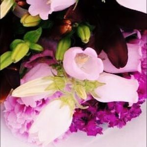 Meet your Posher, Catherine